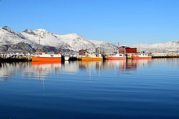 Harbour with fishing boats with snow-capped mountains in the background by Studio LE-gals