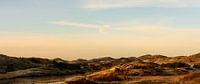panoramic dune