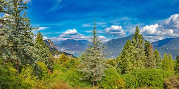 Das Arboretum des Parco San Grato mit Blick auf Lugano und den See, Carona Lugano, Tessin Ticino, Sc