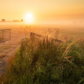 In the polder by Arjen Noord