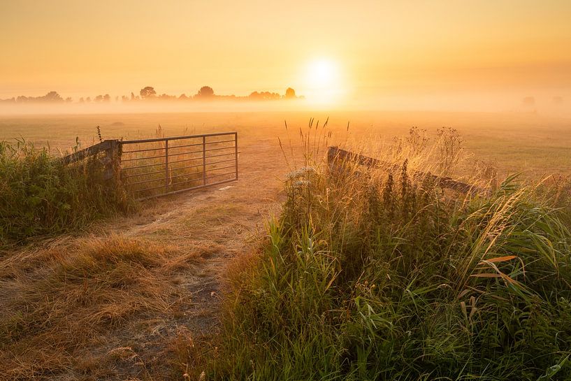Dans le polder par Arjen Noord