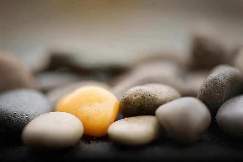 Solitude / pebble by Maren Oude Essink