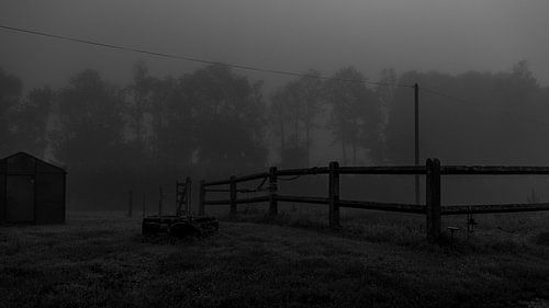 Mistig landschap