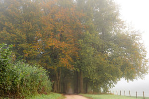 Mariendaal Teil 4