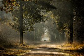 Der Jogger von Jos Erkamp