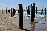 Papendorp aan het strand van petten