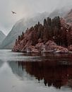 Odins Rabe fliegt über den Nærøfjord von Anam Nàdar Miniaturansicht