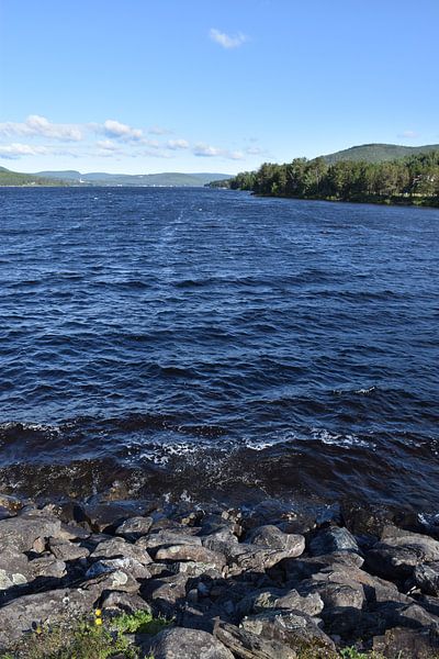 Waves on the lake in summer by Claude Laprise
