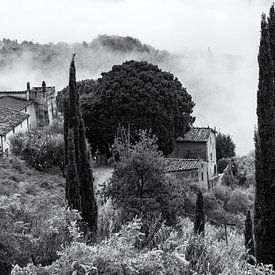 Fog in Tuscany by Frank Andree