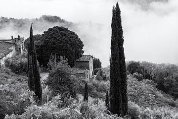 Nebel in der Toskana von Frank Andree