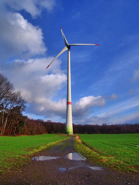 Plassen van Edgar Schermaul