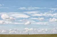 Cyclist on the dike near Lent