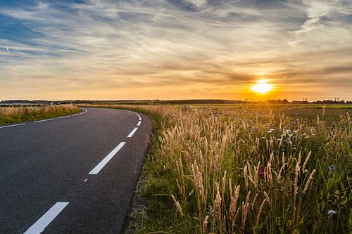 Asphalt road in the flat landscape during summer
