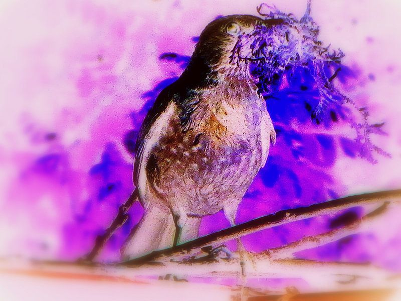 Purple Dove Phantasy by Nicky`s Prints