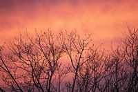 Le ciel en feu