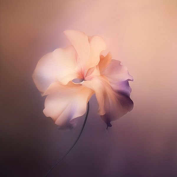 Lathyrus in soft colours by Carla van Zomeren