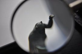 Catpower van Maurits Eykman