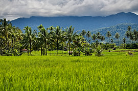 Eine Oase der Ruhe in Indonesien von Frank Photos
