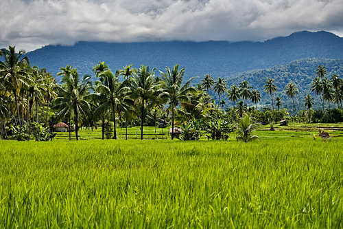 Eine Oase der Ruhe in Indonesien