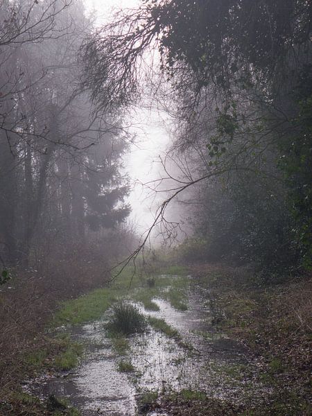 nat van snippefotografie