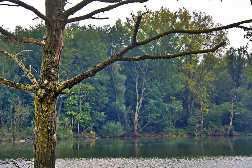 Bislicher Eiland van Edgar Schermaul