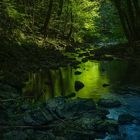 Smaragdwald von Marco Matznohr