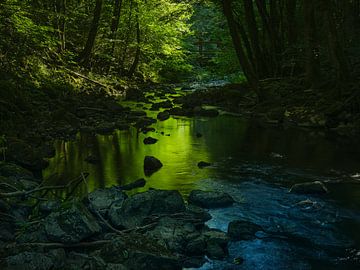 Smaragdgroen bos van Marco Matznohr