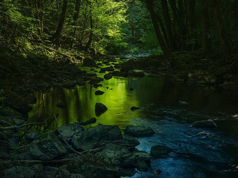 Smaragdwald von Marco Matznohr