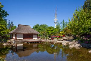 Japanischer Garten, Hamburg