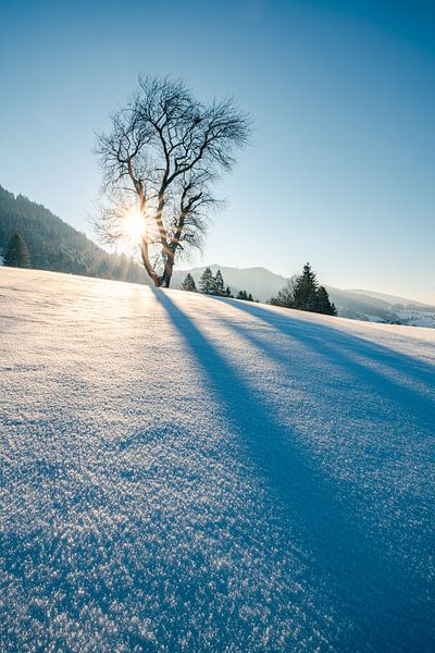 Snow crystals and winter magic in Allgäu by Leo Schindzielorz