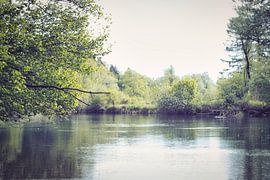 Die Loisach von Basti´s Pix und Raus