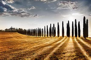 Piste des cyprès avec maison de campagne / ferme en Toscane / Italie sur Voss Fine Art Fotografie