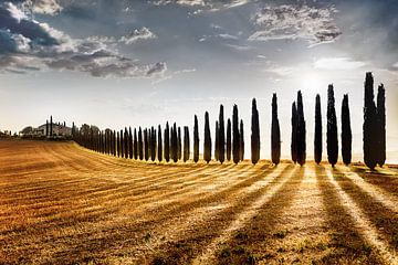 Cypressenpad met landhuis/boerderij in Toscane / Italië van Voss Fine Art Fotografie