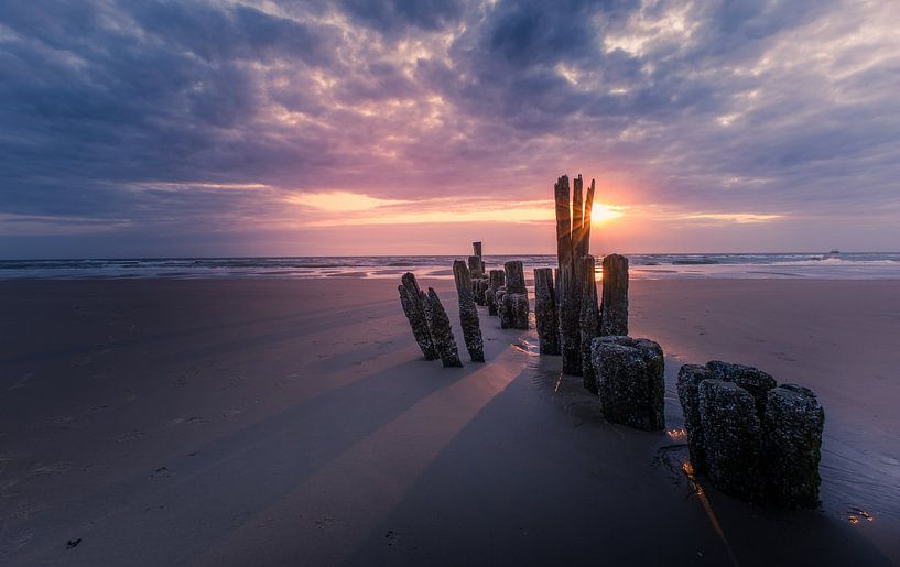 The sun at De Kerf in Bergen aan zee by peterheinspictures