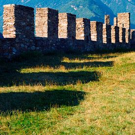 Kasteel tussen de bergen I Bellinzona, Ticino, Zwitserland van Floris Trapman