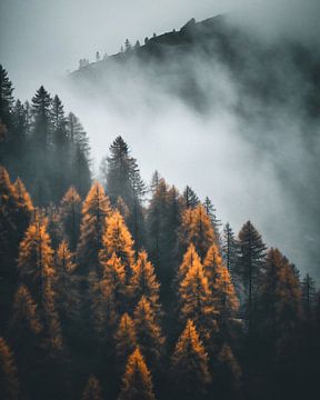 Herbst in den Dolomiten von fernlichtsicht