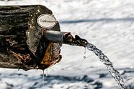 Wassertränke im Schnee von Thomas Heitz Miniaturansicht
