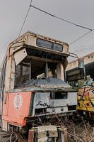 Nature takes over: Front view of Overgrown Abandoned Tram