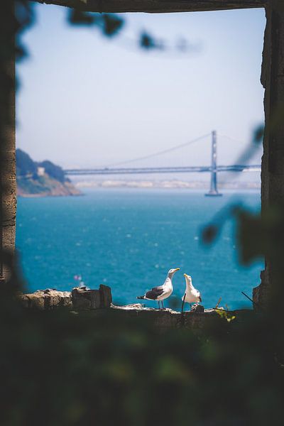San Francisco by Hello Pompoyo