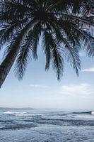 Azuurblauwe Verrukking Oase aan het Strand Palm zee ocean