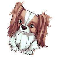 Schattige papillon - hond