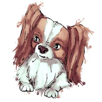 Mignon papillon - chien