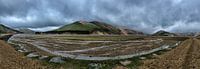 IJsland Landmannalaugar