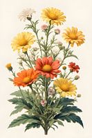 Wildblumen-Harmonie
