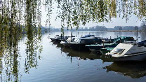 Ein ruhiger Frühlingsmorgen am Donk-See in Belgien
