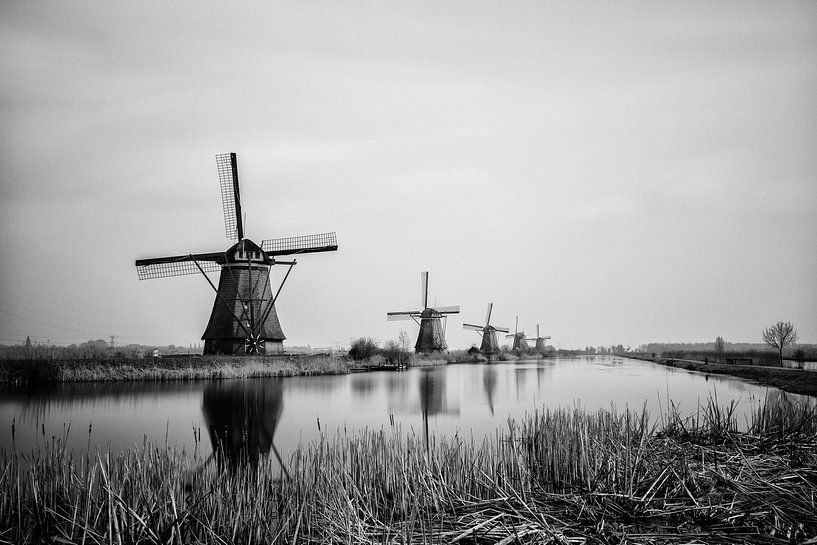 Kinderdijk by Insolitus Fotografie