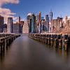 Manhattan Skyline van Robbert Ladan