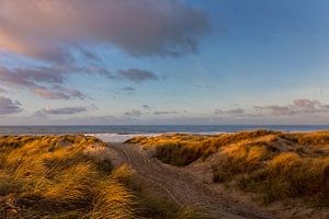 Lumière d'hiver et nuages dans les dunes et au-dessus de la mer sur Bram van Broekhoven