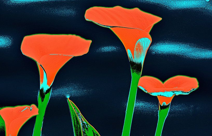 Canna lilies mixed media by Werner Lehmann