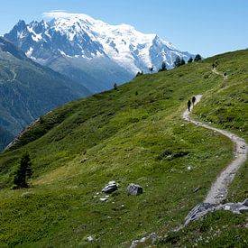 Tour du Mont Blanc von Geerke Burgers